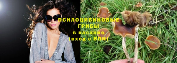 гашик Лабытнанги