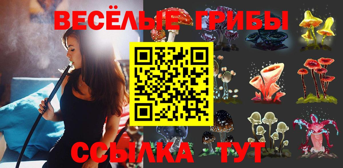 Псилоцибиновые грибы Psilocybe  Вход с VPN  Котовск 