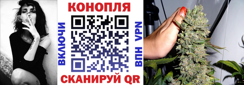 что такое   Котовск  Марихуана сатива 